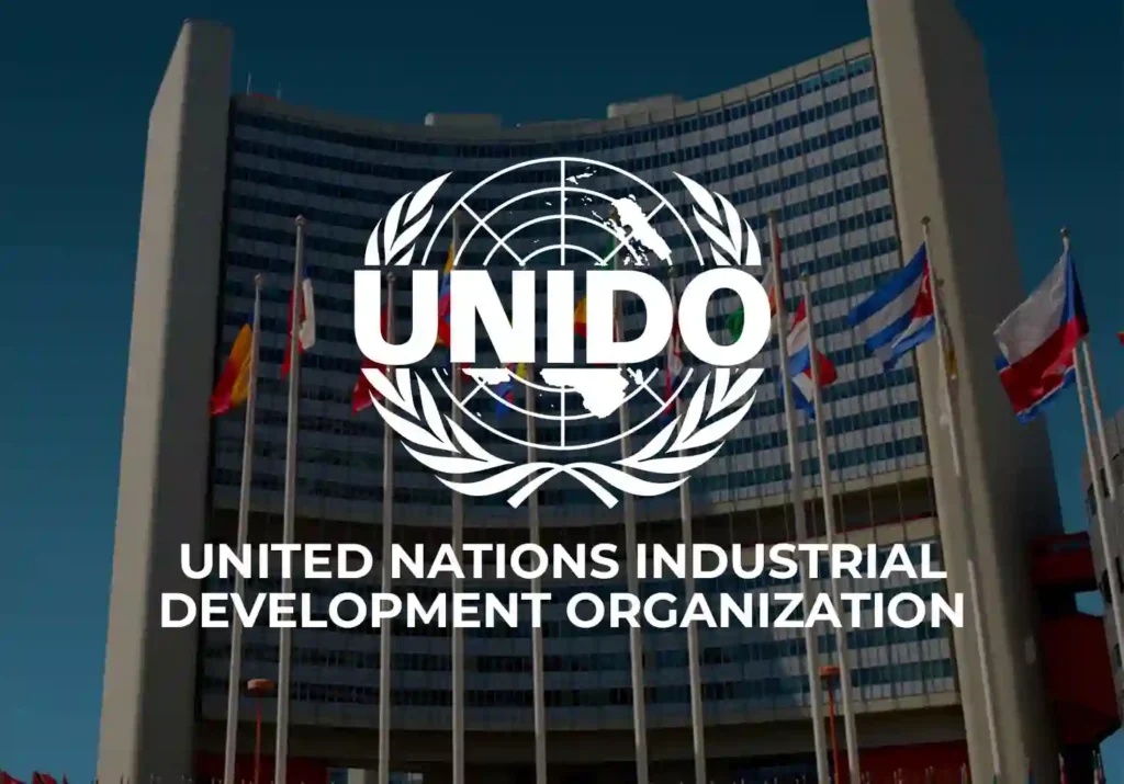 اجتماع عن بُعد بين الجامعة ومنظمة الأمم المتحدة للتنمية الصناعية (UNIDO)